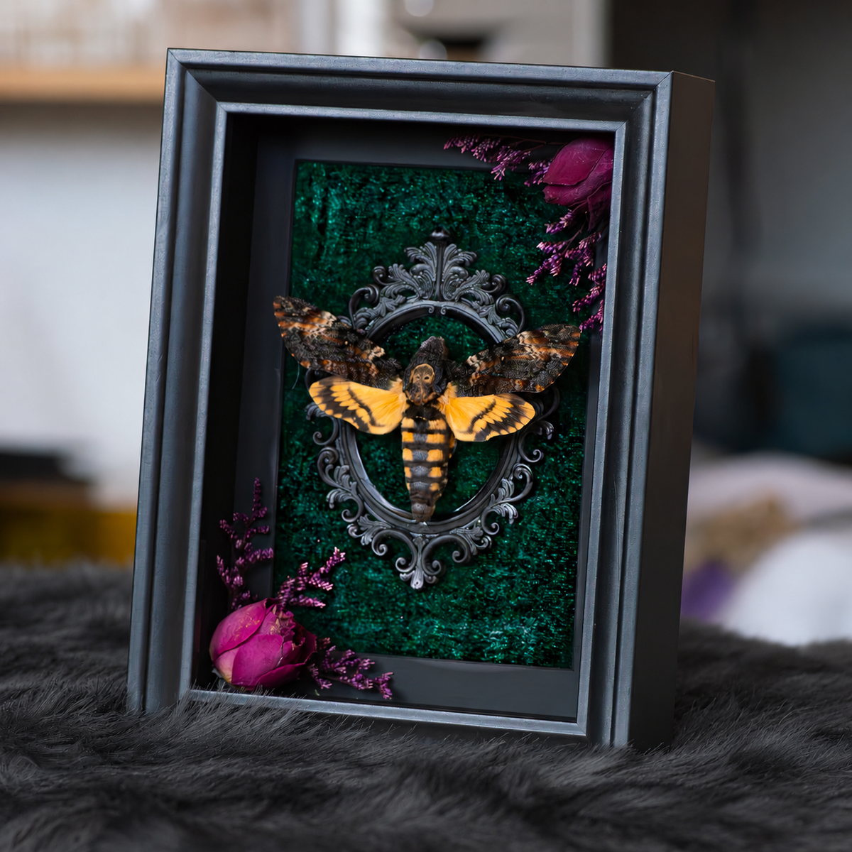 Curiosities, décor & unusual work