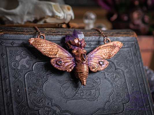 Real giant cicada necklace - Raw amethyst crystals, electroformed copper, witch pagan jewellery, entomology insect, taxidermy and curio