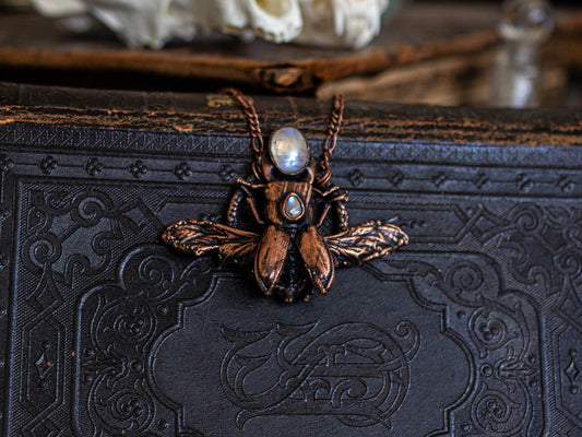 Real  stag Beetle necklace - rainbow moonstones , cloeptera, electroformed copper witch pagan jewellery, entomology gift, oddity and curio