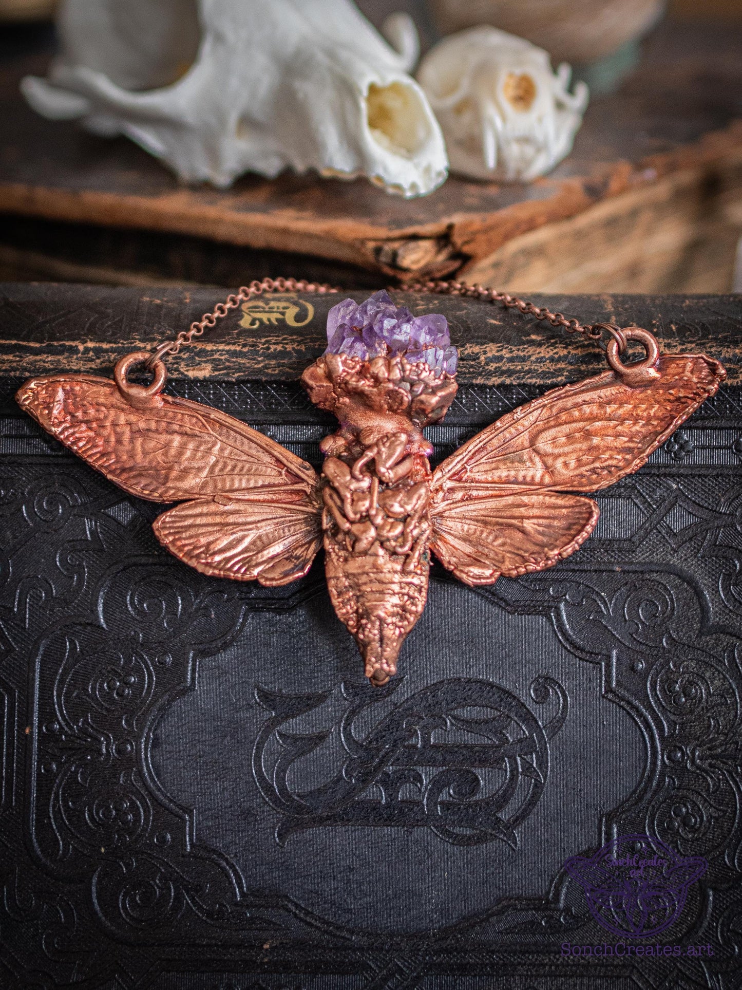 Real giant cicada necklace - Raw amethyst crystals, electroformed copper, witch pagan jewellery, entomology insect, taxidermy and curio