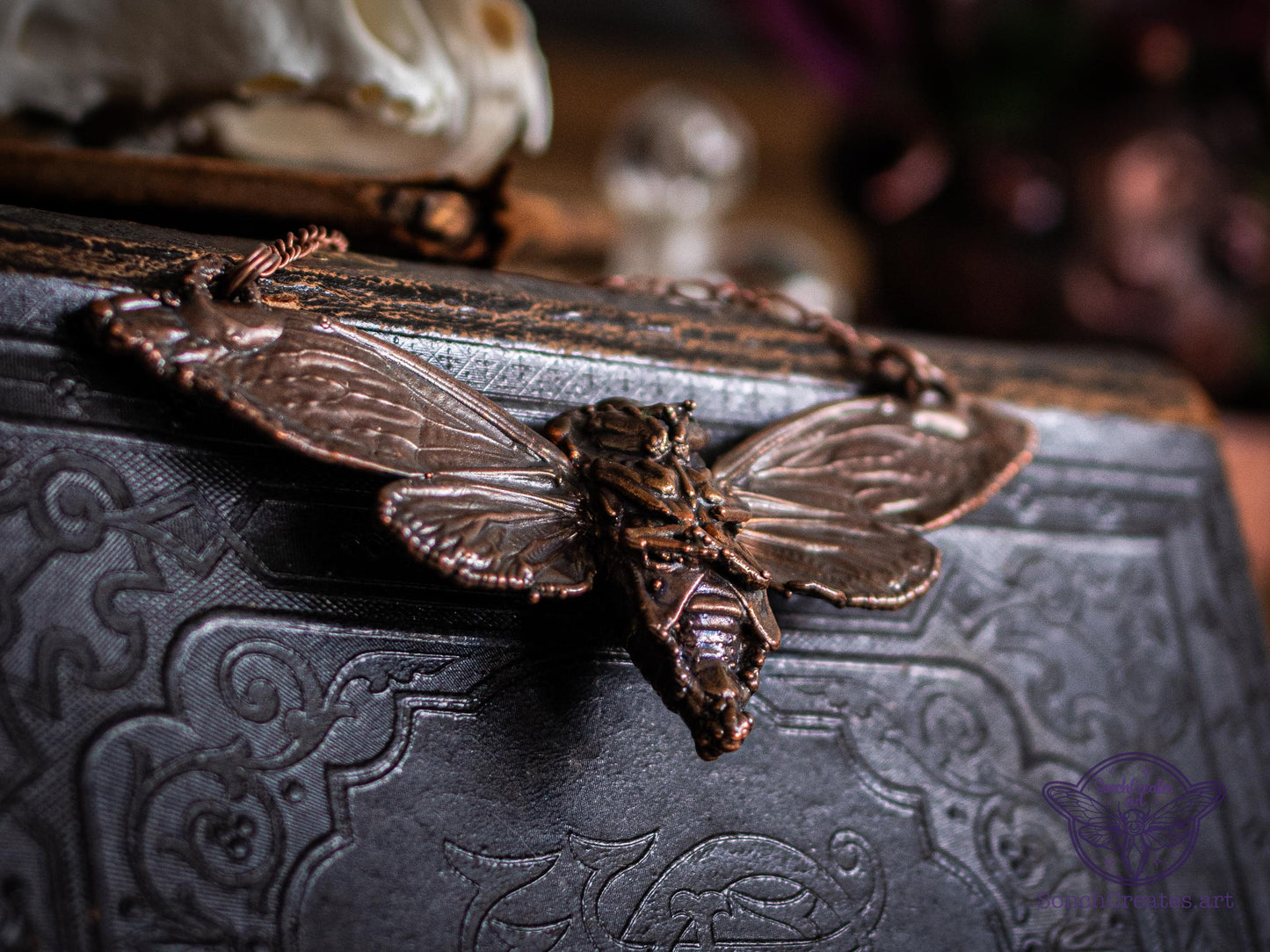 Real cicada necklace , giant bat wing giant cicada , electroformed copper, witch pagan jewellery, entomology insect gift, taxidermy curio