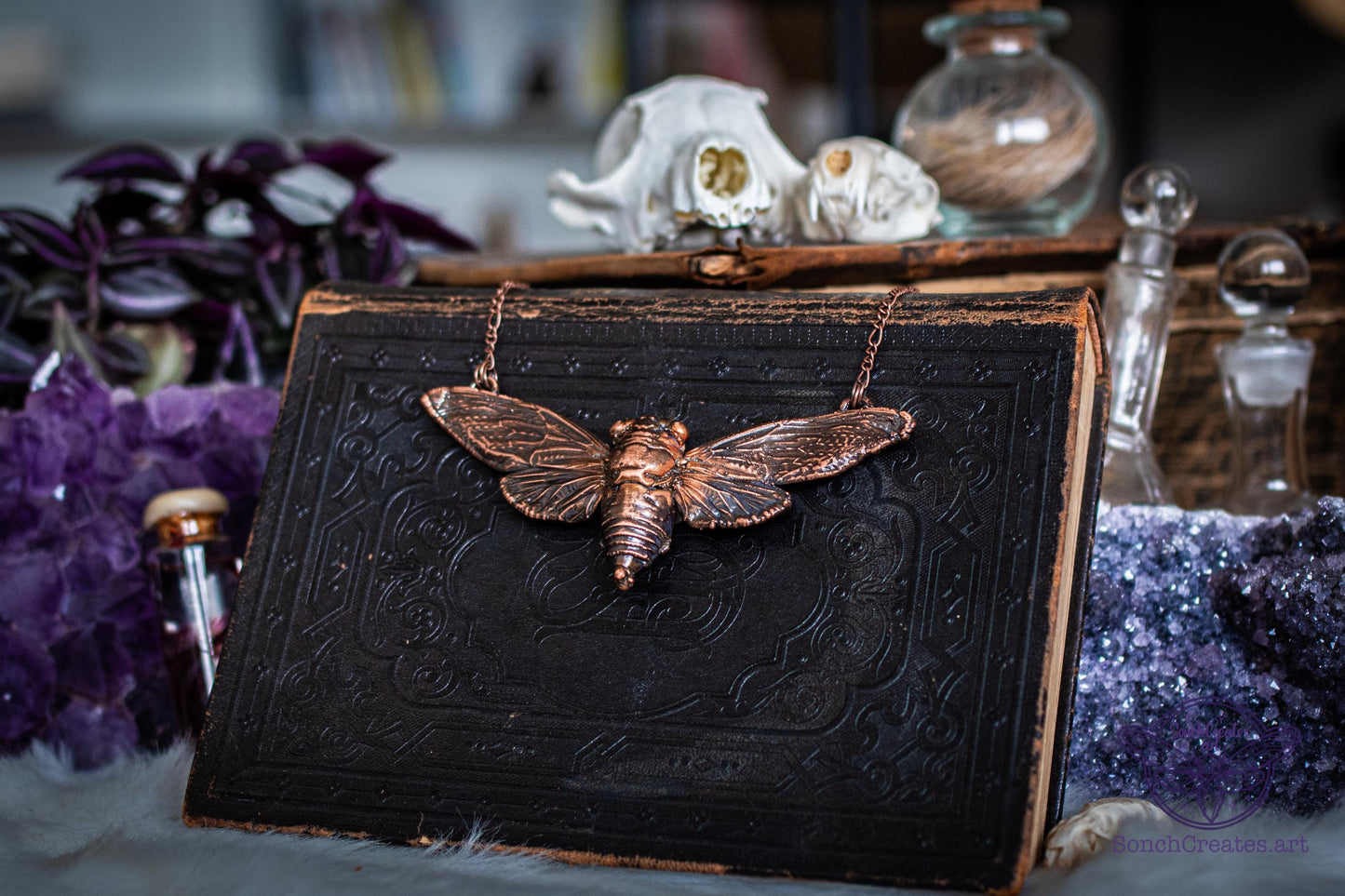 Real cicada necklace , giant bat wing giant cicada , electroformed copper, witch pagan jewellery, entomology insect gift, taxidermy curio