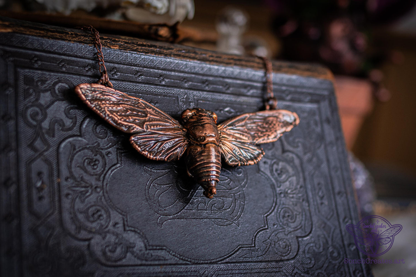 Real cicada necklace , giant bat wing giant cicada , electroformed copper, witch pagan jewellery, entomology insect gift, taxidermy curio